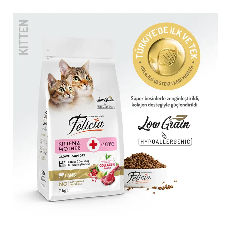 Felicia Kitten & Mother Care - lamb (kitten)