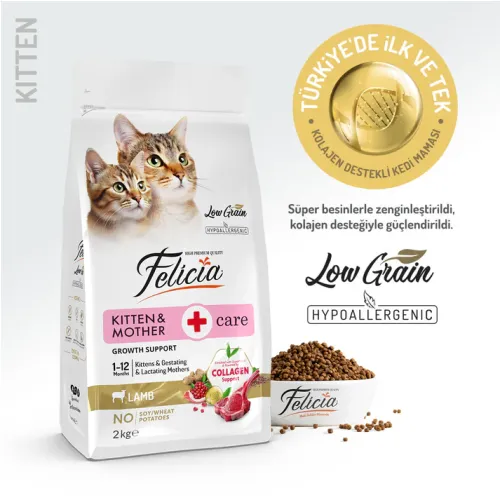 Felicia Kitten & Mother Care - lamb (kitten)